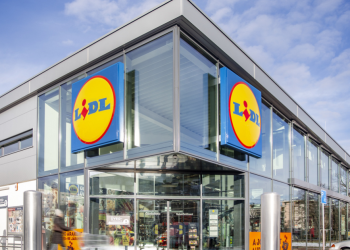 A Lidl munkavállalókat keres közel 600 ezer forintos fizetéssel