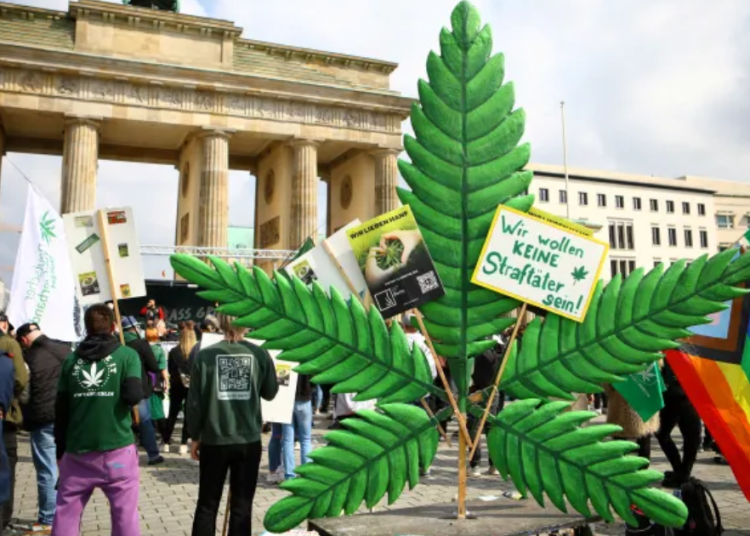 Mit hozhatnak Németországban a kannabisz legalizáció utáni hetek? Mit hozhatnak Németországban a kannabisz legalizáció utáni hetek?