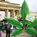 Mit hozhatnak Németországban a kannabisz legalizáció utáni hetek? Mit hozhatnak Németországban a kannabisz legalizáció utáni hetek?