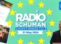 Magyar kampányviták: személyeskedés és euroszkeptikus szatíra Magyar kampányviták: személyeskedés és euroszkeptikus szatíra
